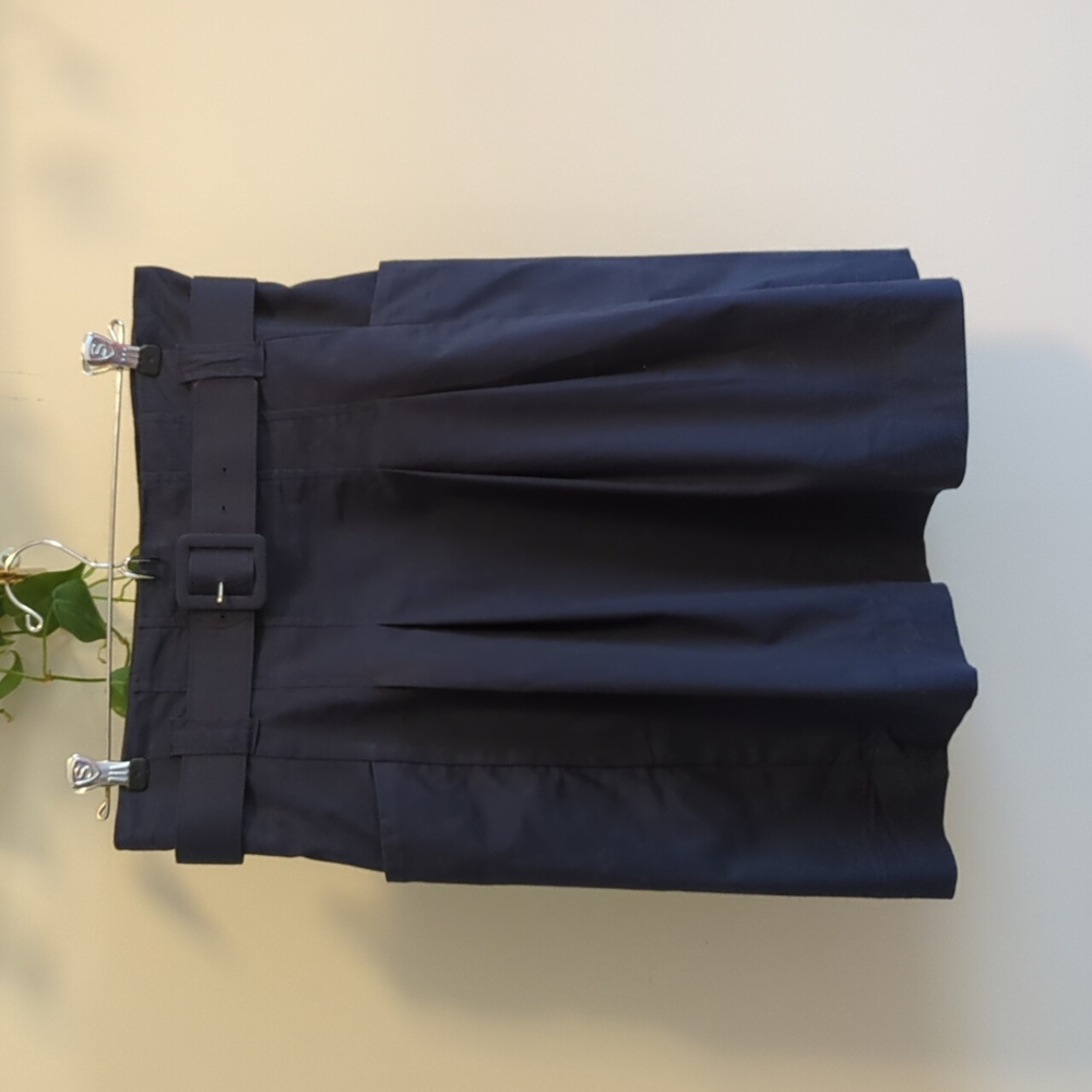 Birds of North America navy pleated skirt